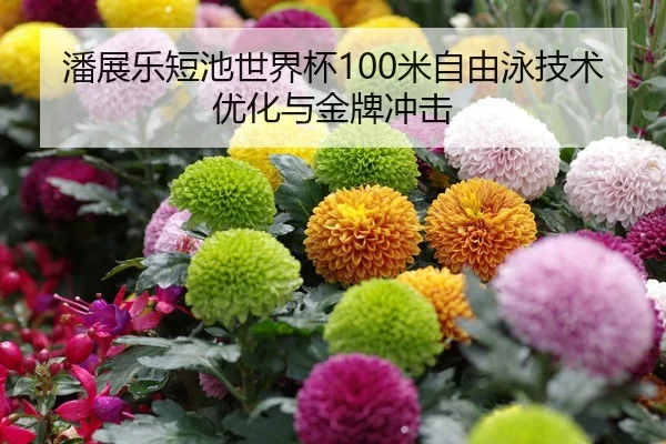 潘展乐短池世界杯100米自由泳技术优化与金牌冲击