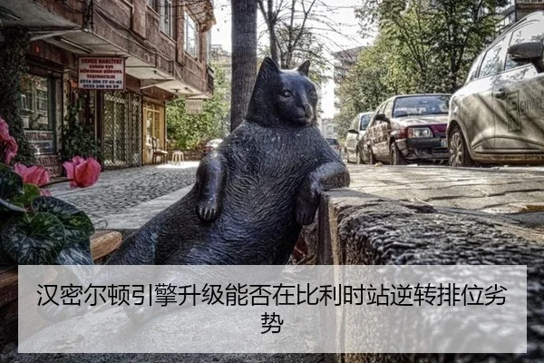 han-mi-er-dun-yin-qing-sheng-ji-neng-fou-zai-bi-li-shi-zhan-ni-zhuan-pai-wei-lie-shi-3-242.jpg